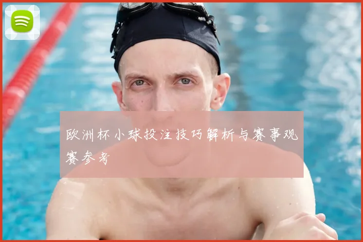 欧洲杯小球投注技巧解析与赛事观赛参考