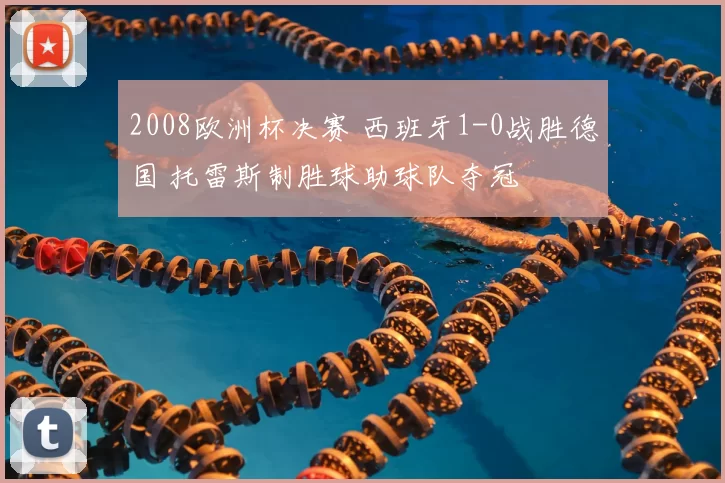 2008欧洲杯决赛 西班牙1-0战胜德国 托雷斯制胜球助球队夺冠