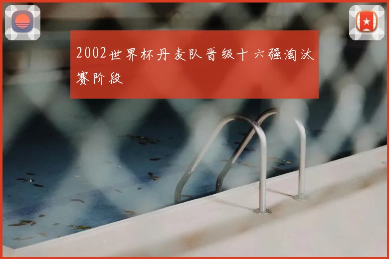 2002世界杯丹麦队晋级十六强淘汰赛阶段