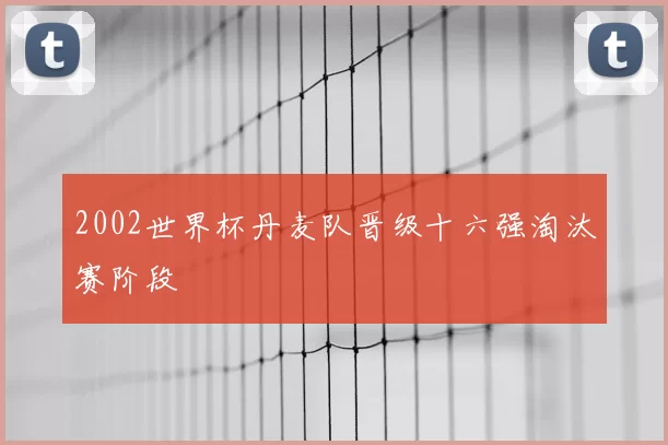 2002世界杯丹麦队晋级十六强淘汰赛阶段